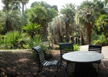 Palmengarten auf Elba