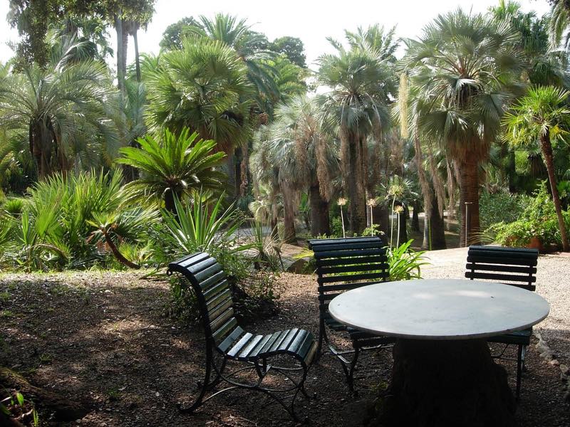 Palmengarten auf Elba